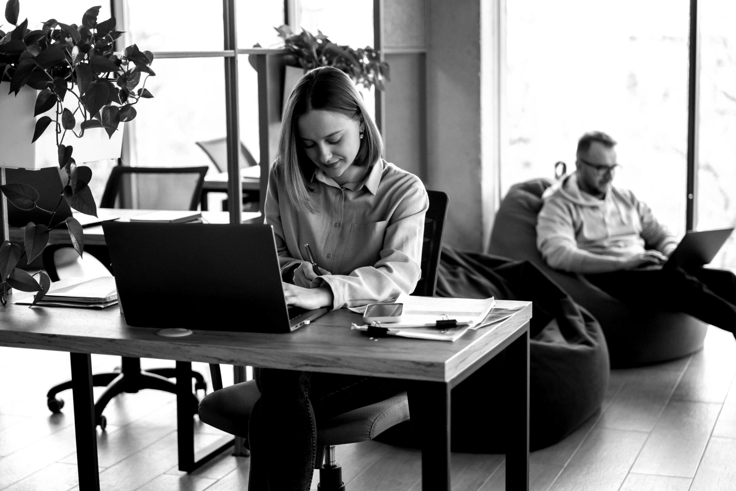 Technical SEO implementation and site optimization